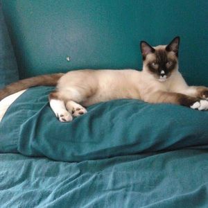 Meet your Posher, Crystal